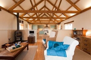 Fireplace - Skyber Lowen (Helston)