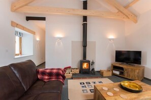 Fireplace - Skyber Barnacott (Bude)