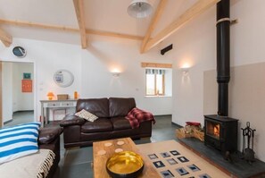 Fireplace - Skyber Barnacott (Bude)