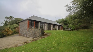 Unclassified image, 4 of 29, button - The Linney (Bodmin)