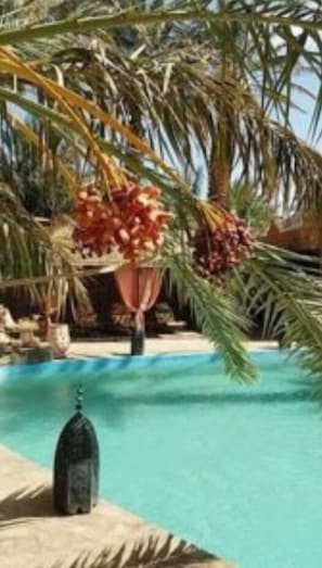 Outdoor pool, pool umbrellas, pool loungers