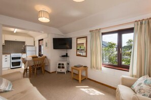 Living area - Villa Francia (Newquay)