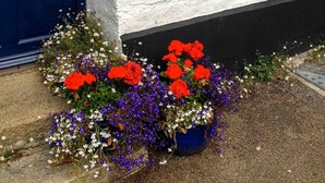 Property entrance - Trevennen Cottage (Falmouth)