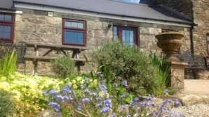 Garden - Trenance at Chycarne Farm (Helston)
