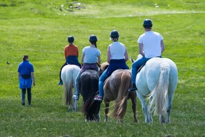 مرفق اللياقة البدنية