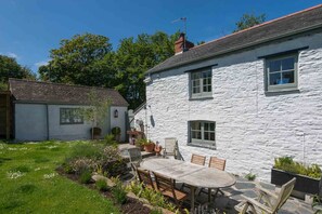 Exterior - Toadstools (Truro)