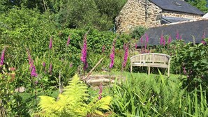 Property grounds - Cob Cottage at Higher Tregidden (Helston)