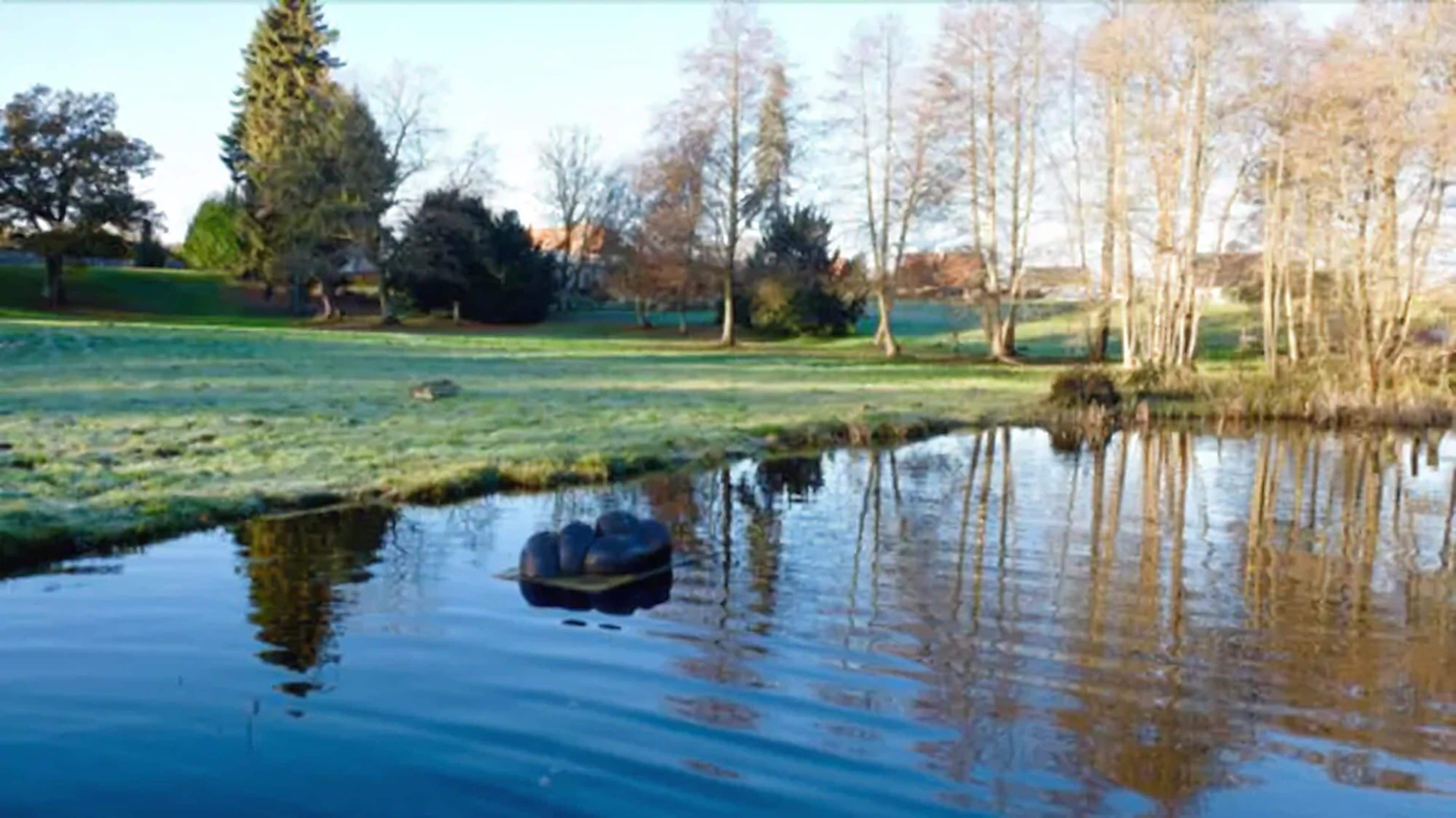 A calm pond with a small boat in the foreground, surrounded by trees and a grassy area.