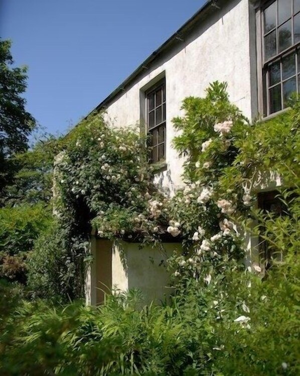 Vista frontal de la propiedad