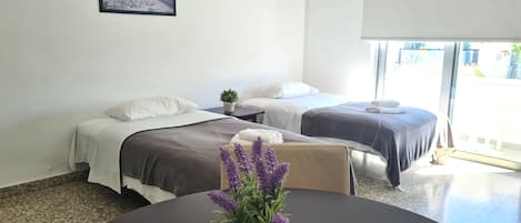 Habitación de hotel con dos camas, una mesita con una planta en maceta, un cuadro en la pared y un equipo de aire acondicionado.