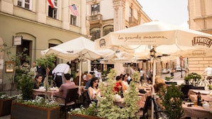 Un café en plein air avec des tables et des chaises, entouré de plantes en pot et de parasols.
