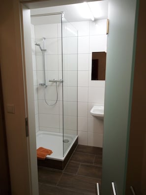 Shower, hair dryer