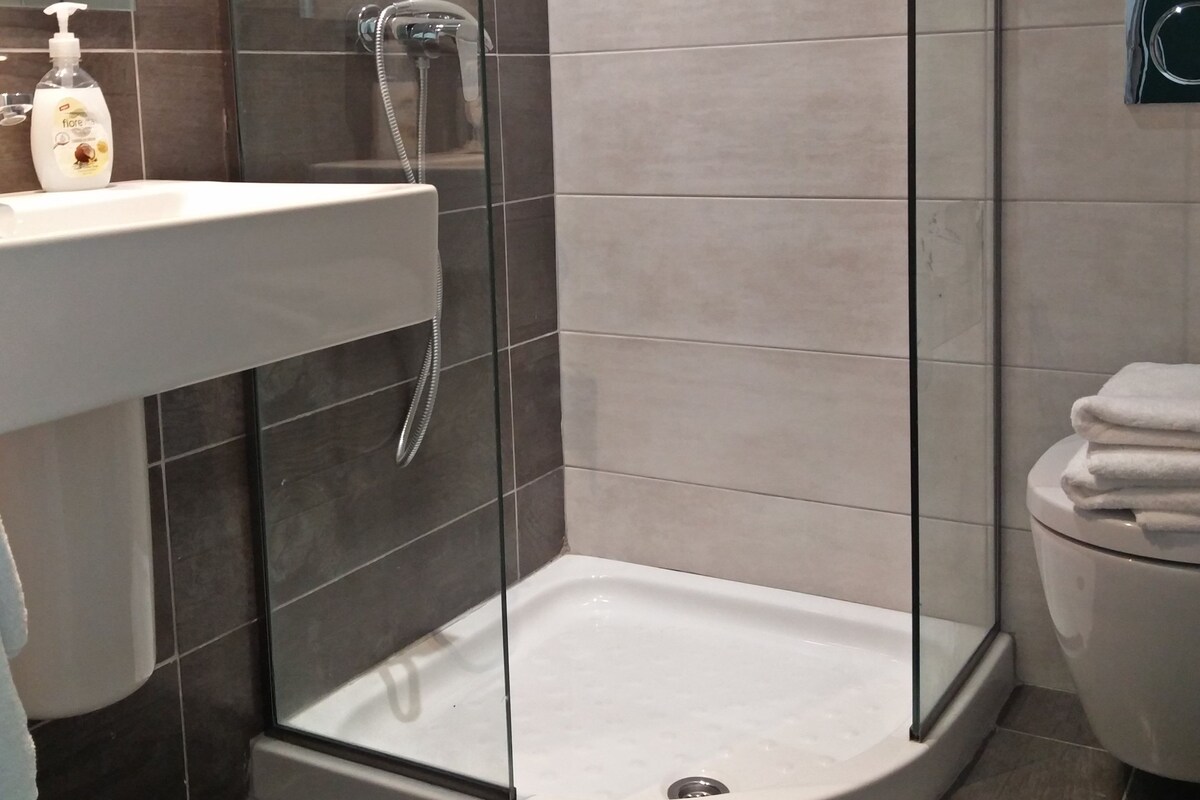 A modern bathroom with a glass-enclosed shower, a white sink, and a toilet.