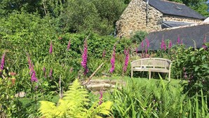 Garden - James' Cottage (Helston)