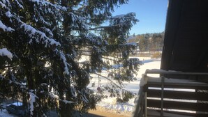 A snowy outdoor scene with a wooden deck, a snow-covered car, and a tree in the foreground. - Ferienwohnung Hannah Hahnenklee (Goslar)