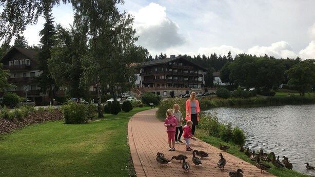 A paved walkway by a lake with ducks, surrounded by greenery and residential buildings. - Ferienwohnung Hannah Hahnenklee (Goslar)