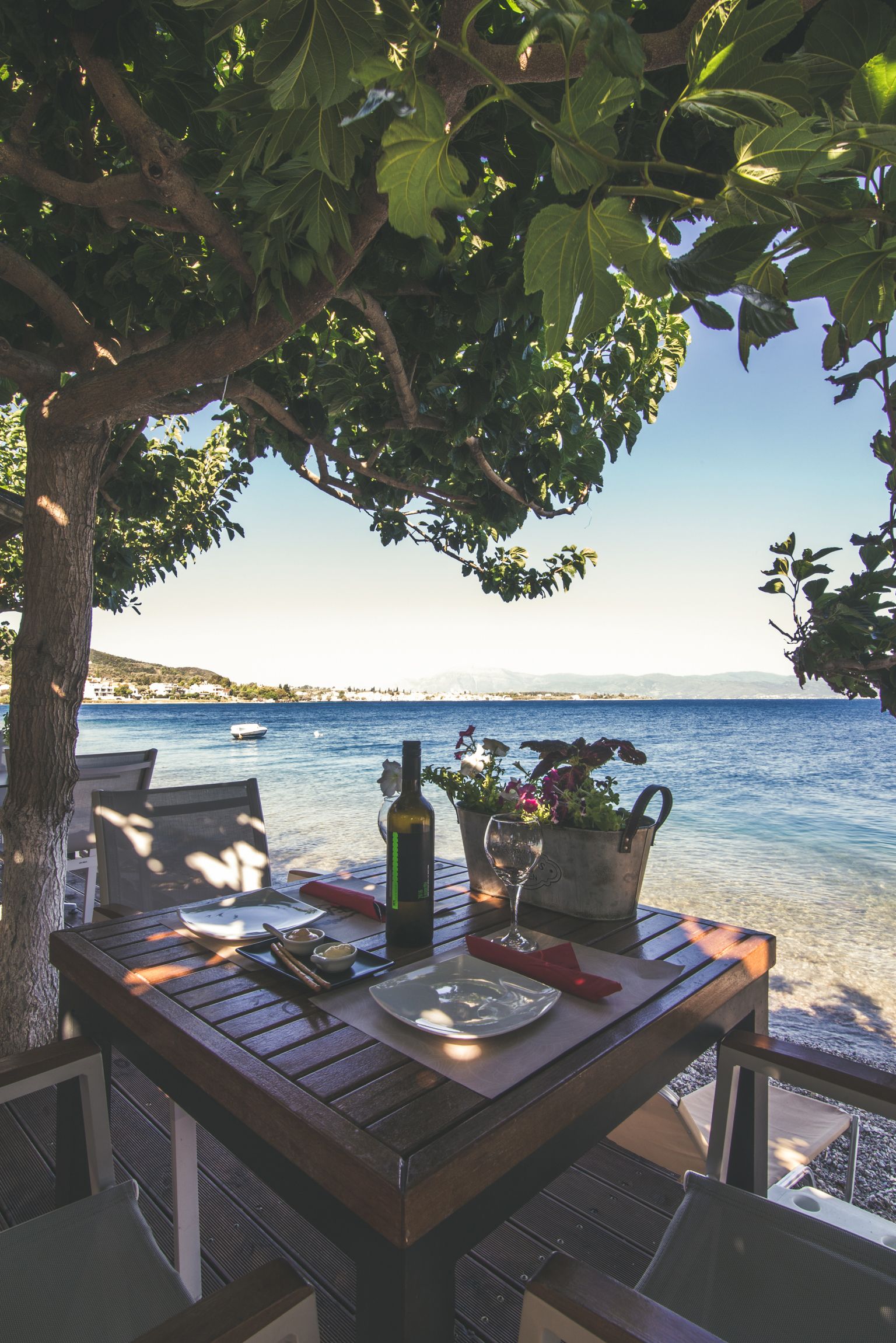 Bar (en la propiedad)