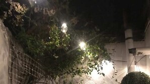 A dimly lit outdoor area with a concrete wall, a wire fence, and some greenery. - Charming 2 Bedroom Cottage in Central Location (Dublin)