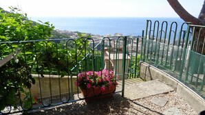Un balcón con vista al mar, una baranda de metal y una maceta con flores rosas.