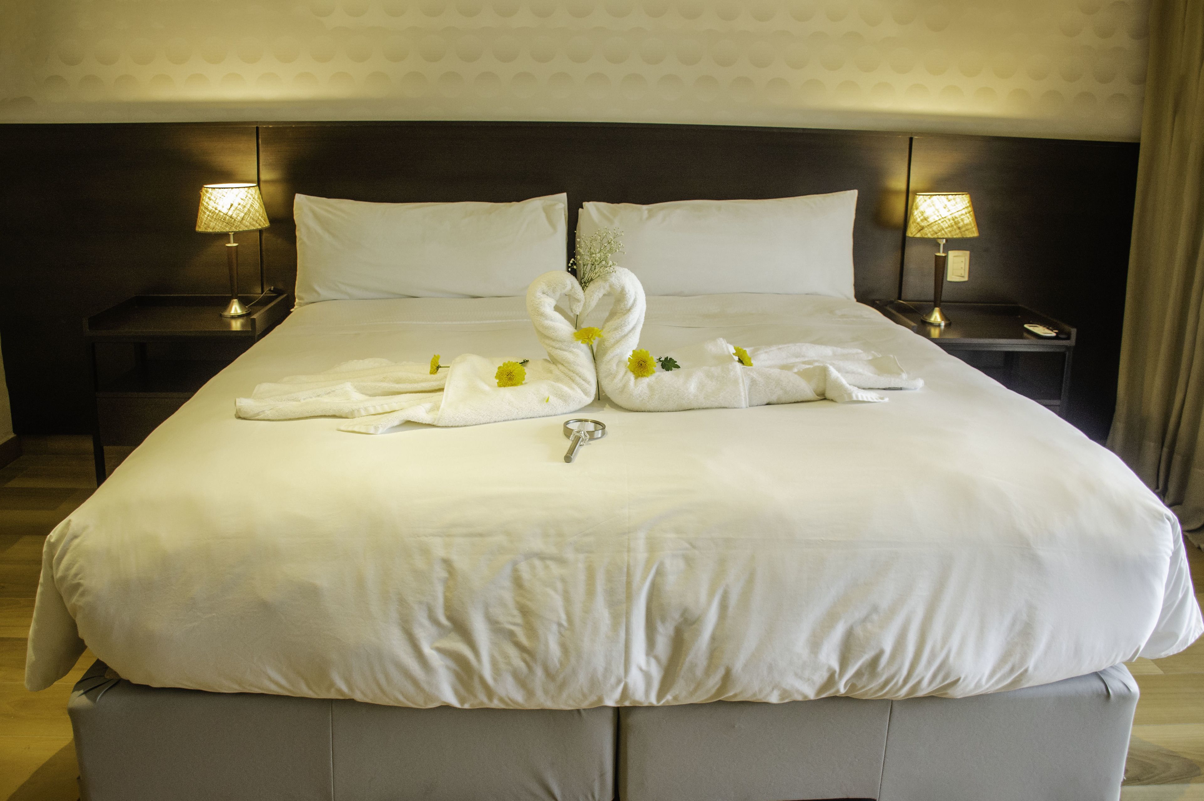 superior double or twin room | 1 bedroom, premium bedding, down duvets, pillow-top beds