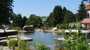 A serene outdoor pool area with lounge chairs, a wooden deck, and a view of a forested hill. - Hotel Jägerhaus (Sankt Peter)
