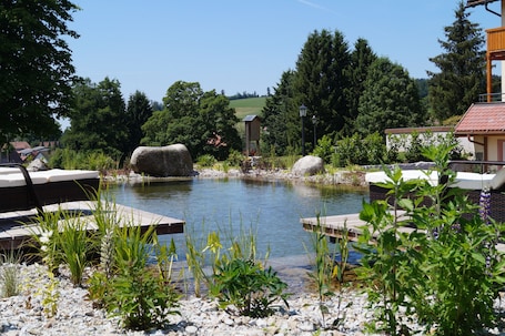Outdoor pool, sun loungers