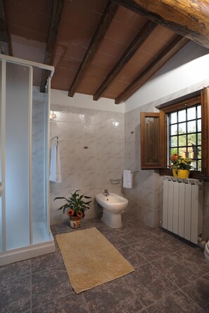 Panorama appartement, 2 slaapkamers, uitzicht op heuvels | Badkamer | Een douche, een regendouche, een haardroger, een bidet