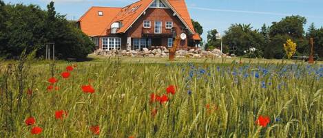 Majoituspaikan julkisivu