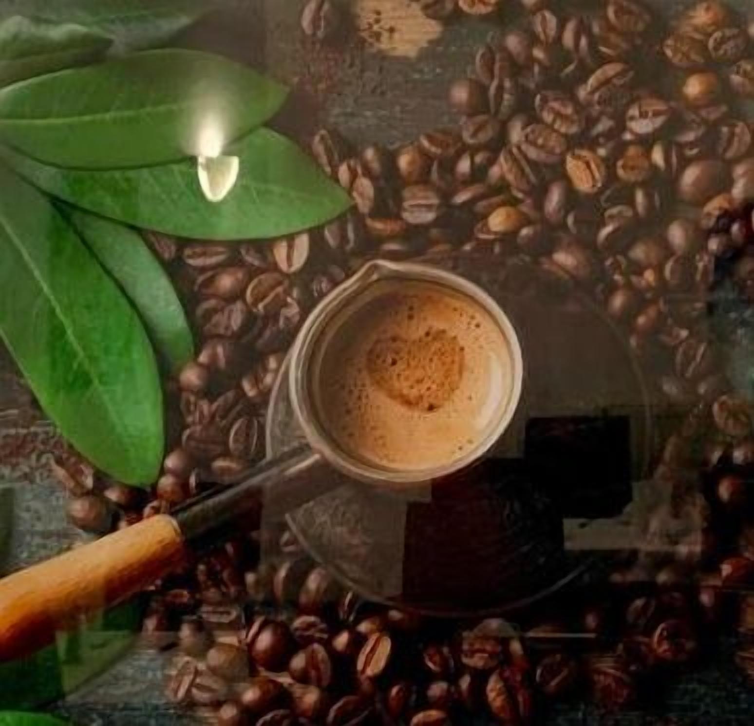 minibar, desk, soundproofing, free wifi