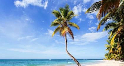 Condo Hotel Playa Las Ballenas