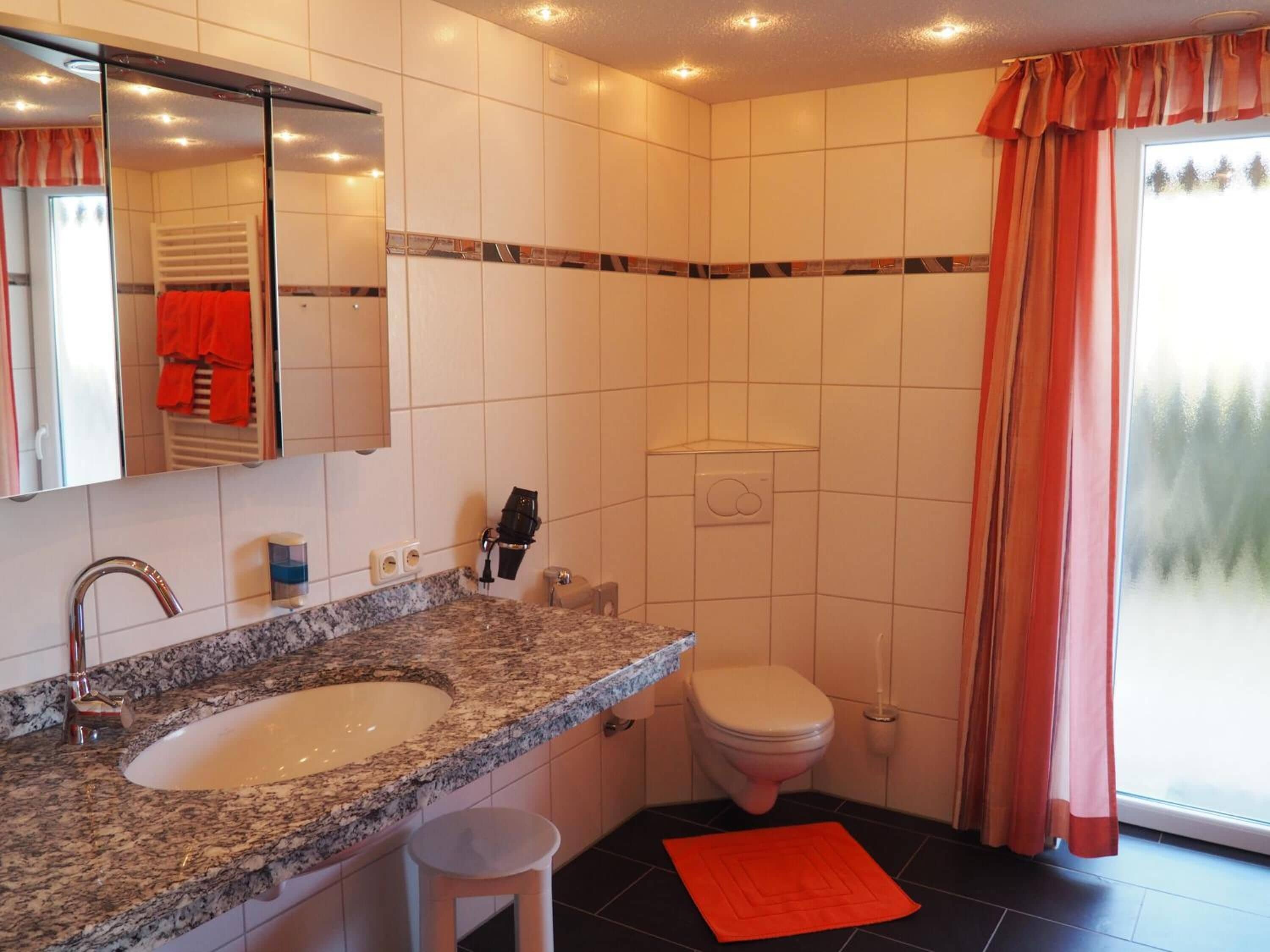 A bathroom with a granite countertop sink, a toilet, and a shower area.