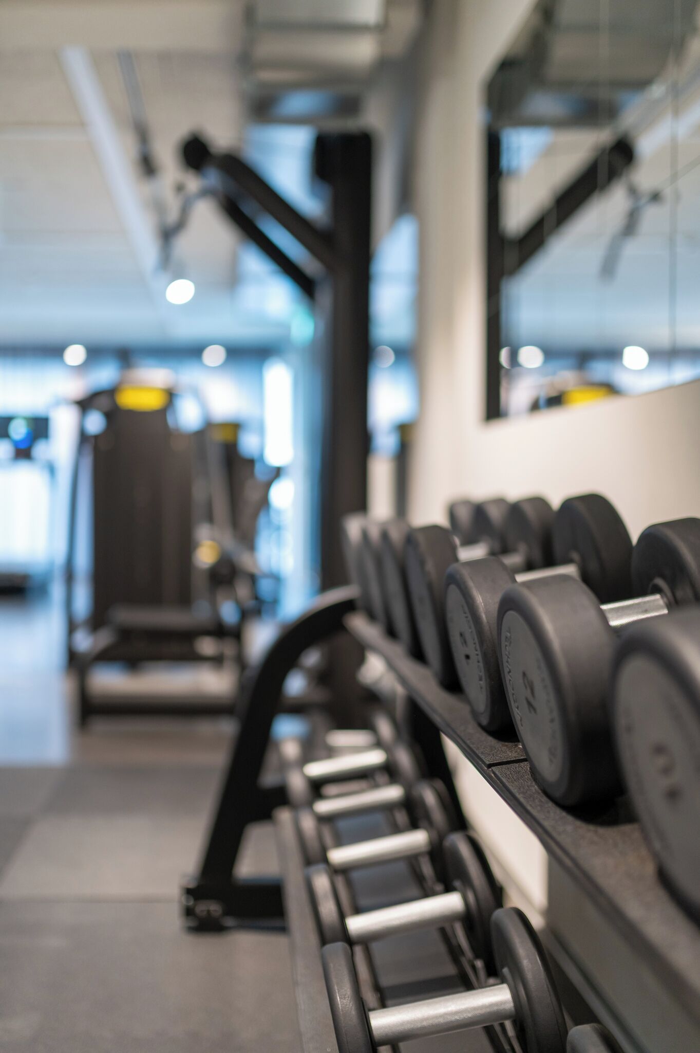 A row of black dumbbells on a rack in a gym with a mirrored wall and exercise equipment in the background.