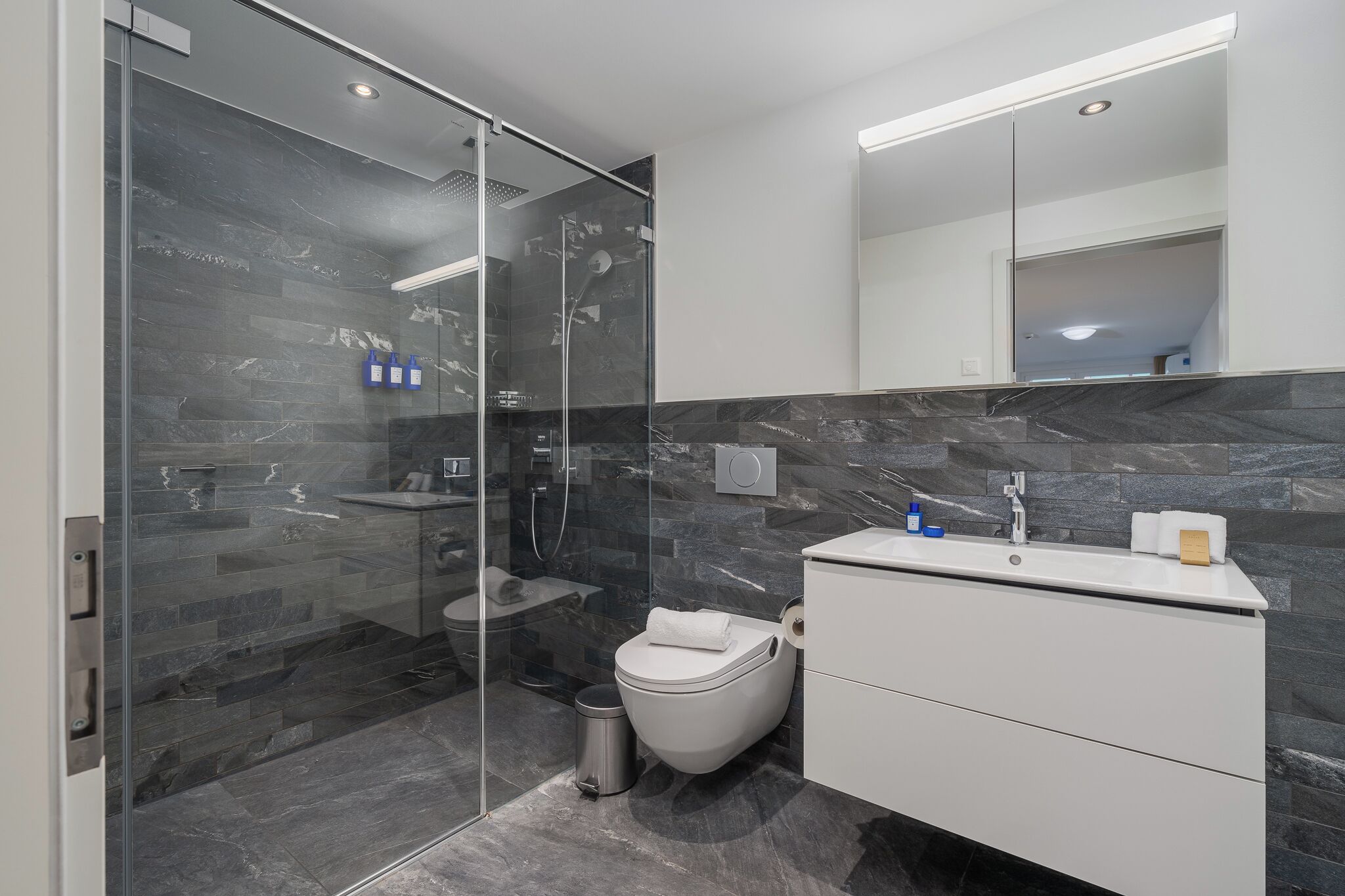 A modern bathroom with a glass-enclosed shower, a toilet, and a vanity with a mirror.