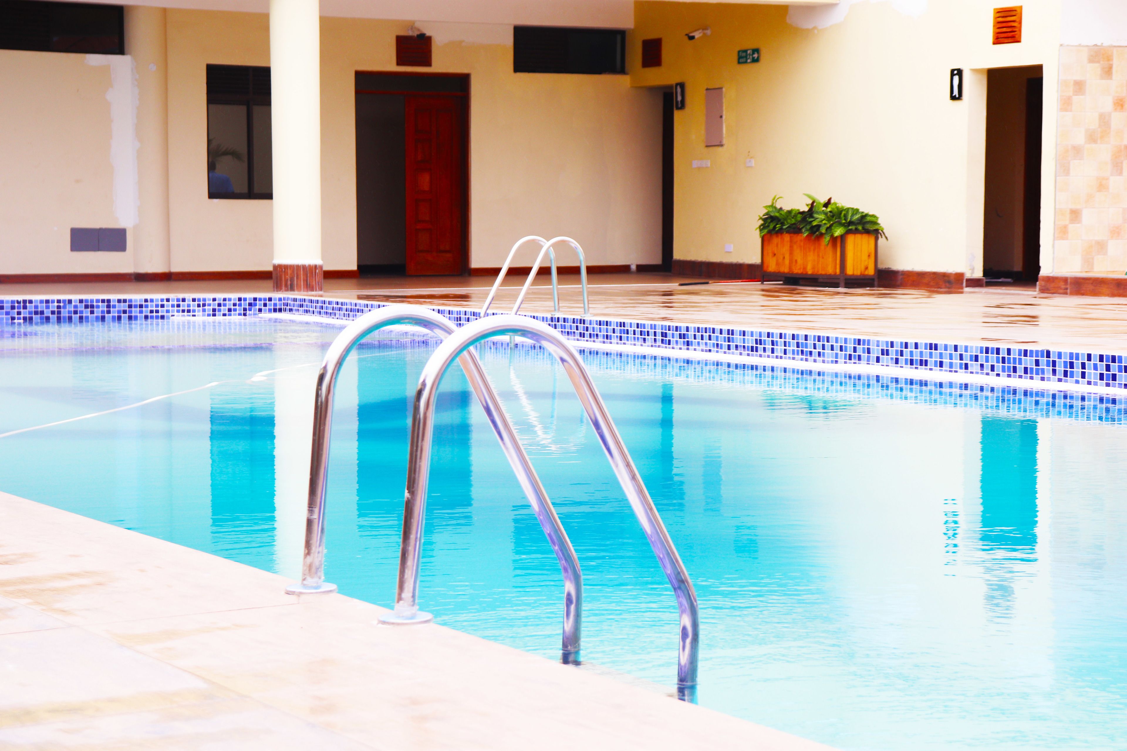 Una piscina con escaleras de metal, bordes con azulejos y una planta en maceta al fondo.