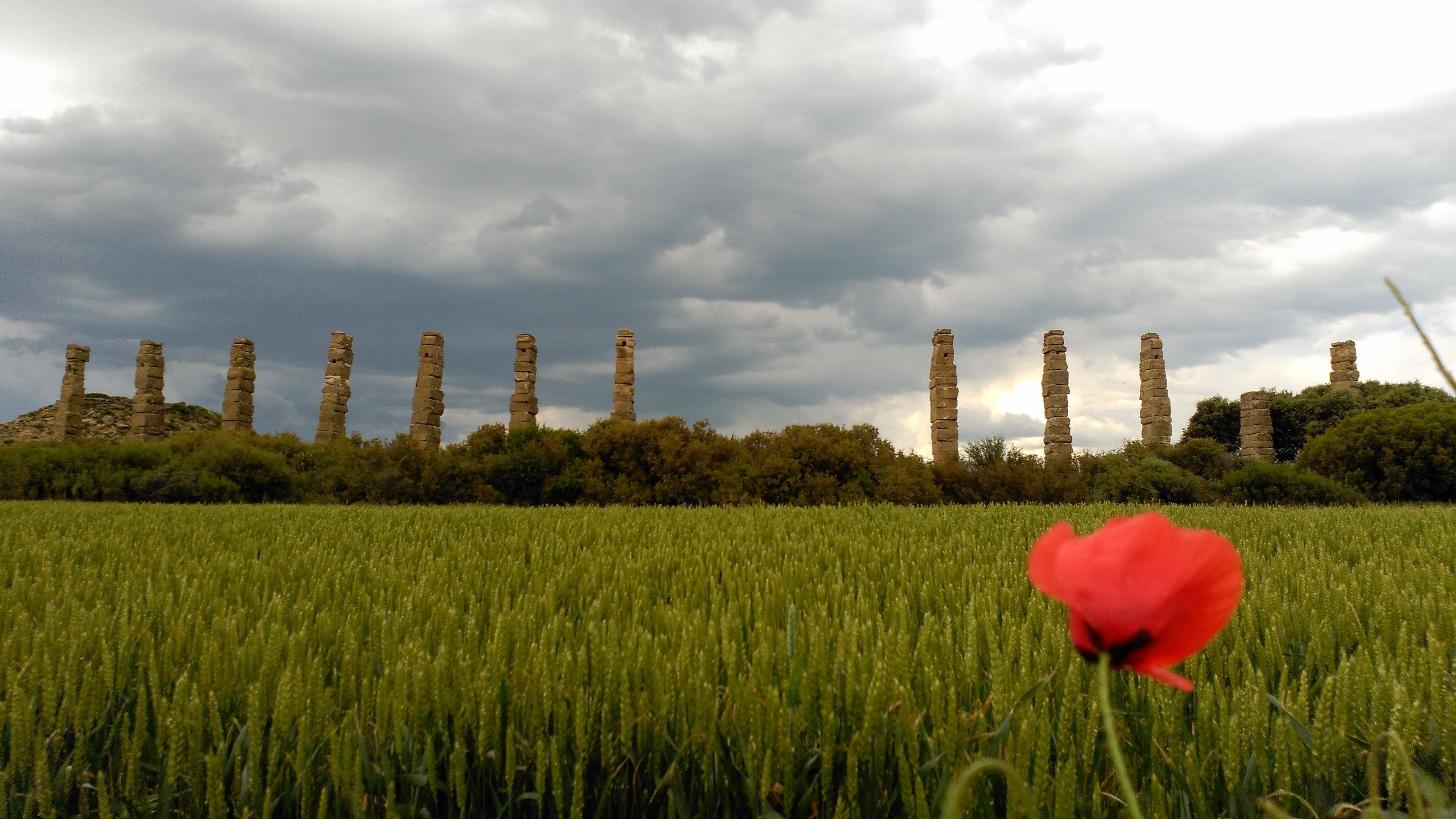 A field with tall stone structures and a red flower in the foreground.