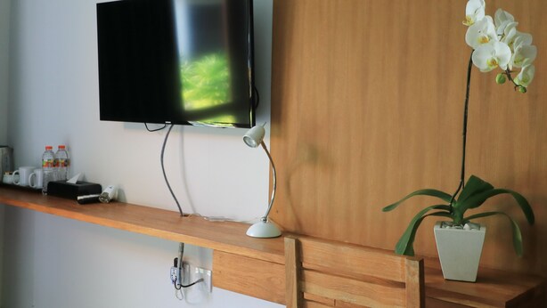 A modern room with a flat-screen TV mounted on a wooden wall, a desk with a lamp, a potted orchid, and a small plant. - Mella Villas Jimbaran (Jimbaran)