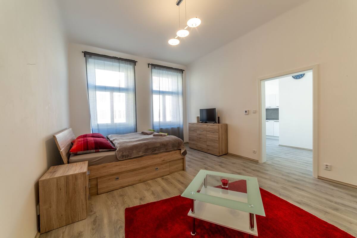 A modern bedroom with a bed, bedside tables, a TV, and a red rug.