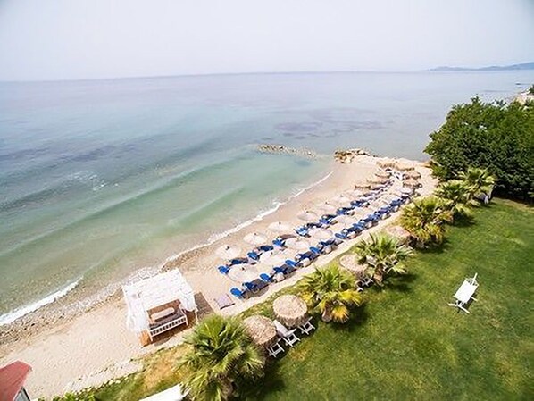 A beachside hotel with rows of blue umbrellas, a pool area, and a view of the ocean.
