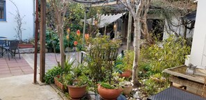 Taman