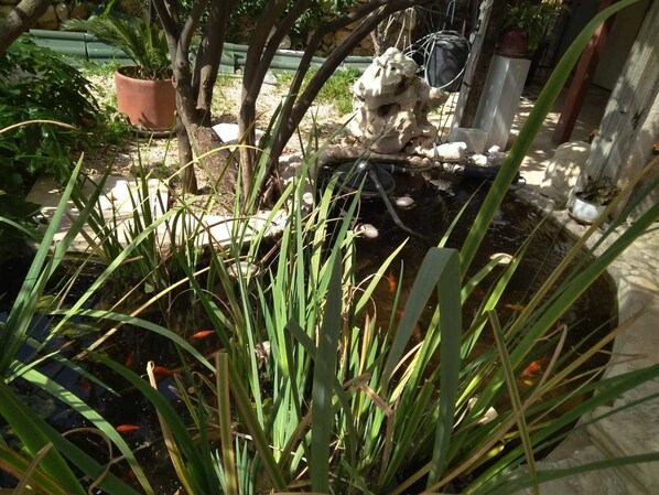 Jardin