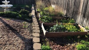 A garden with raised beds, a stone pathway, and a wooden fence. - WHOLE Family - WholeStyl - Hostel (Sacramento)
