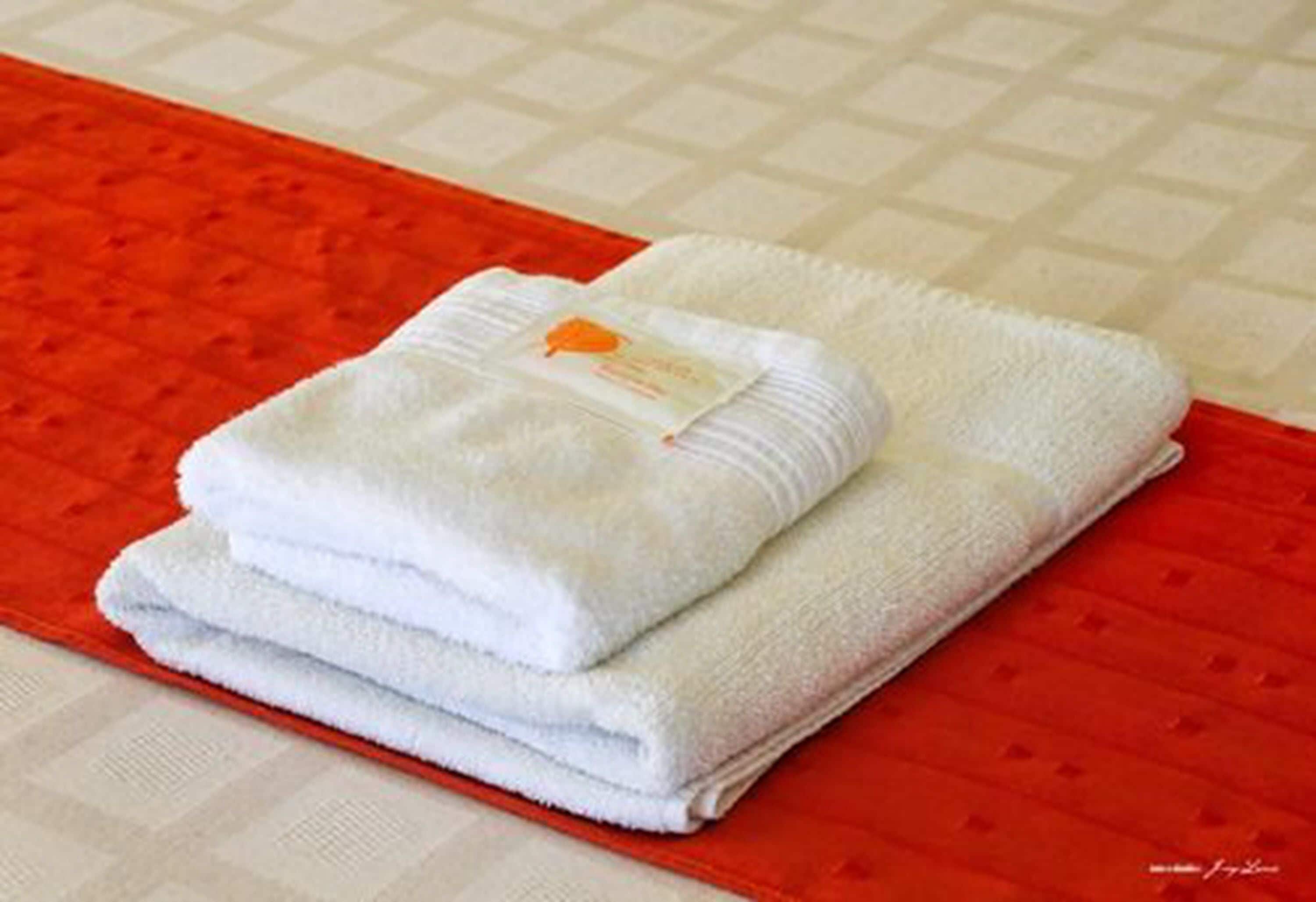 shower, rainfall showerhead, free toiletries, bidet