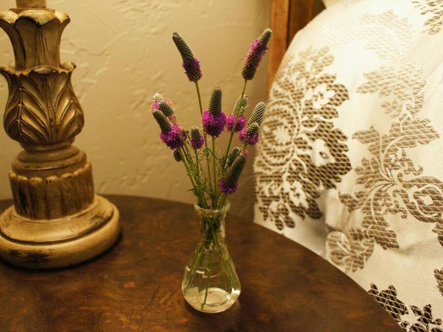 Um vaso de vidro transparente com flores roxas sobre uma mesa de madeira, ao lado de um abajur decorativo e uma almofada estampada.