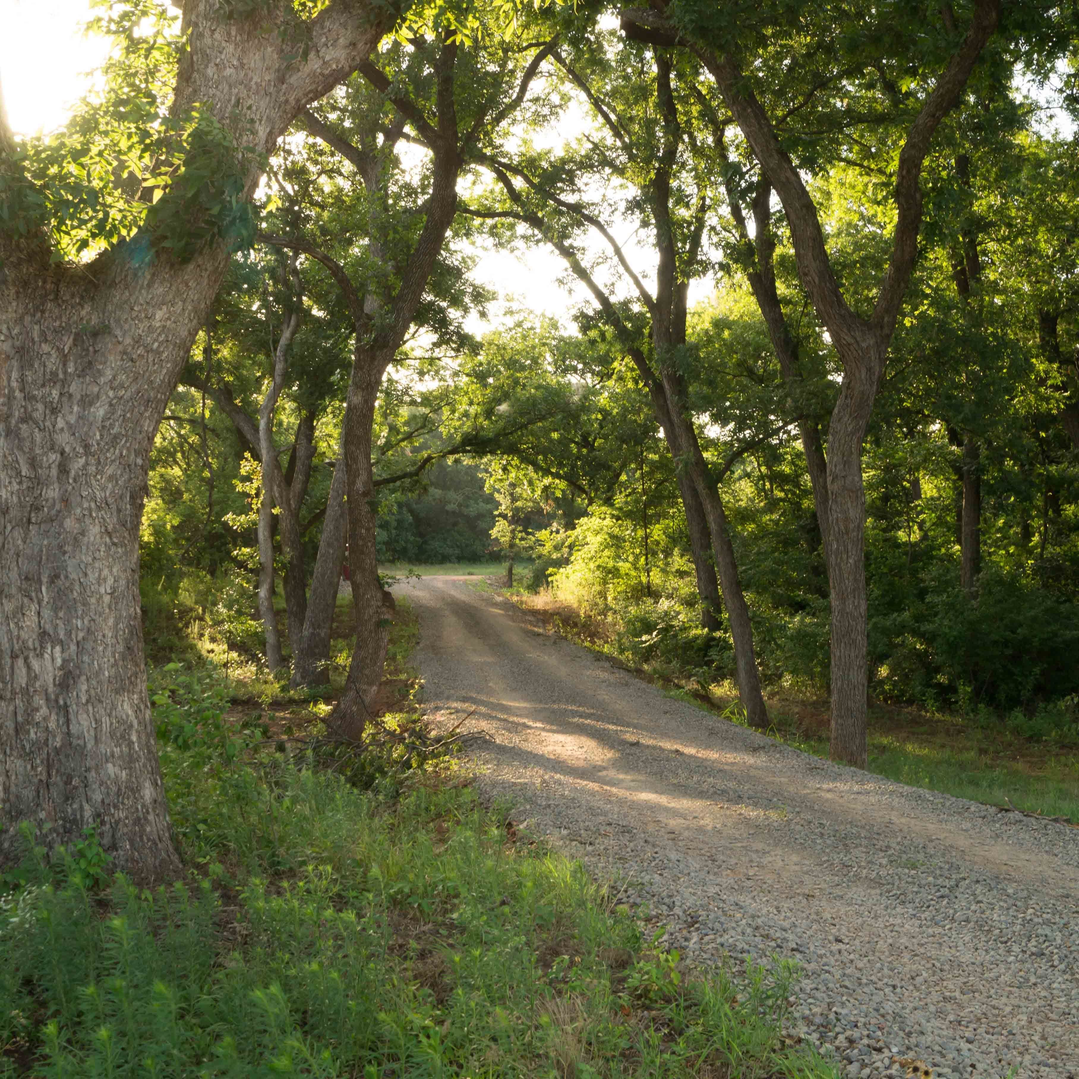 A gravel path surrounded by trees in a wooded area.