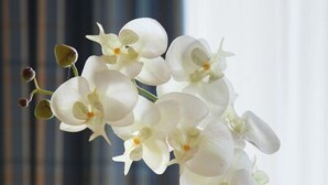 Um vaso com orquídeas brancas sobre uma superfície de madeira.
