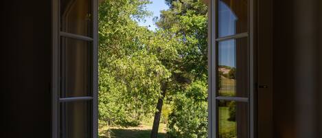 A room with an arched window overlooking a garden.