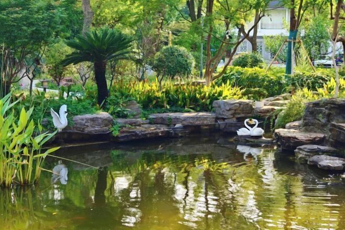 A serene pond with swans, surrounded by lush greenery and rocks.