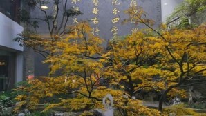 庭園