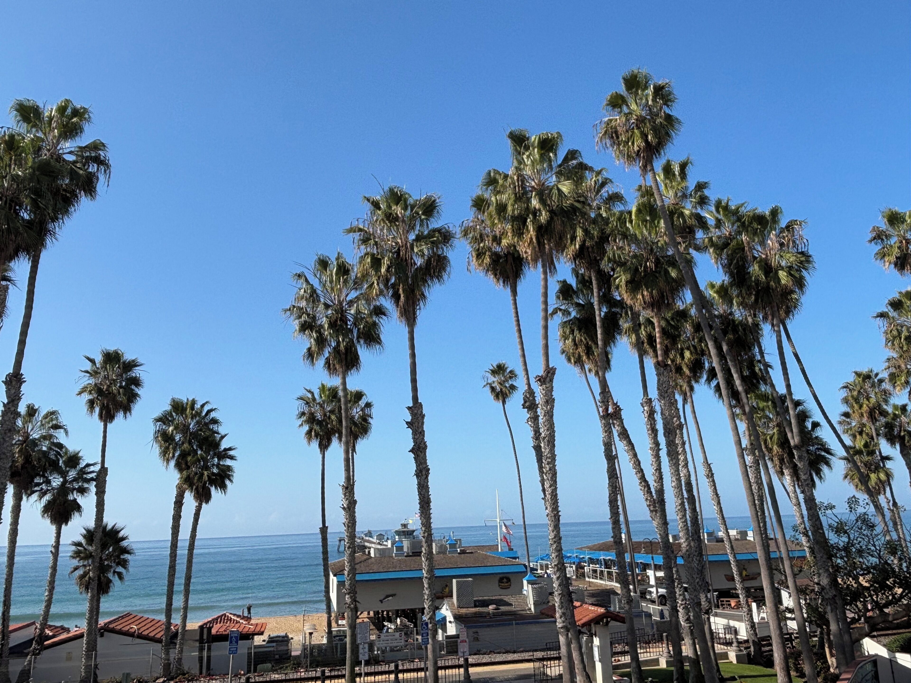 A beachfront hotel with palm trees, a clear sky, and the ocean in the background.