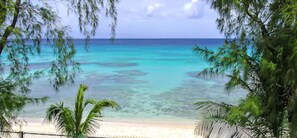 On the beach - Villa La Paloma (Prospect)